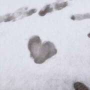 ヒメ日記 2026/02/17 06:00 投稿 ねね ハンドキャンパス池袋