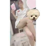 ヒメ日記 2026/03/25 14:41 投稿 かやの 素人系イメージSOAP彼女感大宮館