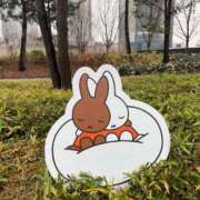 ヒメ日記 2026/01/02 11:42 投稿 ハナ ピカソ