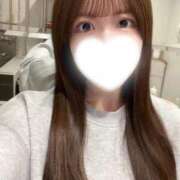 ヒメ日記 2026/02/20 09:33 投稿 ハナ ピカソ