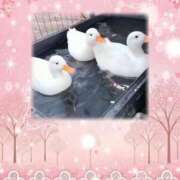 ヒメ日記 2025/12/30 07:36 投稿 れおな 完熟ばなな 上野店