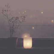 ヒメ日記 2026/01/09 20:44 投稿 三浦 MadameRest(マダムレスト)