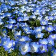 ヒメ日記 2026/01/26 20:15 投稿 三浦 MadameRest(マダムレスト)