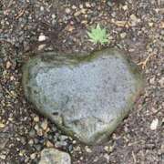 ヒメ日記 2026/01/31 09:28 投稿 三浦 MadameRest(マダムレスト)