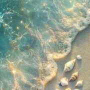 ヒメ日記 2026/02/14 11:44 投稿 三浦 MadameRest(マダムレスト)