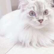 ヒメ日記 2026/02/16 19:52 投稿 三浦 MadameRest(マダムレスト)