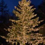 ヒメ日記 2026/02/17 21:28 投稿 三浦 MadameRest(マダムレスト)