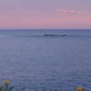 ヒメ日記 2026/02/21 07:29 投稿 三浦 MadameRest(マダムレスト)