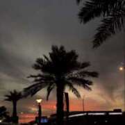 ヒメ日記 2026/02/22 10:27 投稿 三浦 MadameRest(マダムレスト)