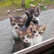 ヒメ日記 2026/02/26 09:35 投稿 三浦 MadameRest(マダムレスト)