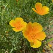 ヒメ日記 2026/02/28 18:24 投稿 三浦 MadameRest(マダムレスト)