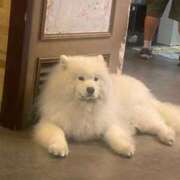 ヒメ日記 2026/03/01 07:39 投稿 三浦 MadameRest(マダムレスト)