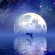 ヒメ日記 2026/03/03 06:41 投稿 三浦 MadameRest(マダムレスト)