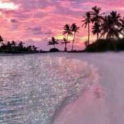 ヒメ日記 2026/03/08 06:26 投稿 三浦 MadameRest(マダムレスト)