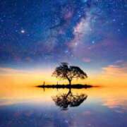 ヒメ日記 2026/03/08 16:33 投稿 三浦 MadameRest(マダムレスト)