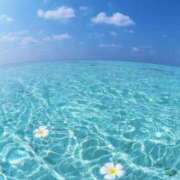 ヒメ日記 2026/03/17 16:25 投稿 三浦 MadameRest(マダムレスト)