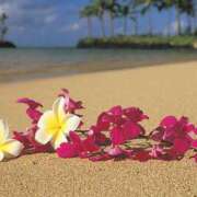 ヒメ日記 2026/03/24 06:39 投稿 三浦 MadameRest(マダムレスト)