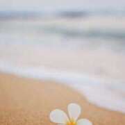 ヒメ日記 2026/03/25 17:15 投稿 三浦 MadameRest(マダムレスト)