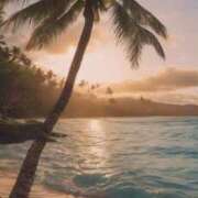 ヒメ日記 2026/03/28 06:57 投稿 三浦 MadameRest(マダムレスト)