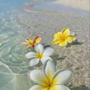 ヒメ日記 2026/03/30 06:53 投稿 三浦 MadameRest(マダムレスト)