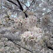 三浦 本日おやすみ🎀 MadameRest(マダムレスト)