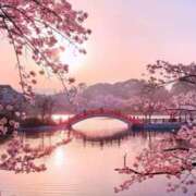 ヒメ日記 2026/04/06 18:40 投稿 三浦 MadameRest(マダムレスト)