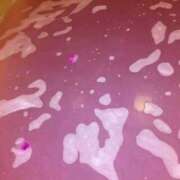 ヒメ日記 2026/04/09 13:42 投稿 三浦 MadameRest(マダムレスト)