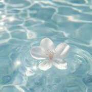 ヒメ日記 2026/04/11 07:26 投稿 三浦 MadameRest(マダムレスト)