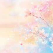 ヒメ日記 2026/04/17 08:48 投稿 三浦 MadameRest(マダムレスト)