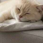 ヒメ日記 2025/12/25 15:50 投稿 じゅり 脱がされたい人妻 さいたま大宮店