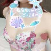 ヒメ日記 2025/12/29 21:34 投稿 のぞみ スチュワーデス