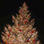 ヒメ日記 2025/12/25 17:33 投稿 早乙女　しずか OLピンクコレクション