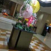 ヒメ日記 2026/01/30 03:49 投稿 すずみ 広島サンキュー