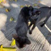 ヒメ日記 2026/01/07 23:16 投稿 一色さつき★ elumo(エルモ)