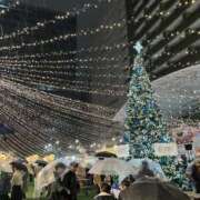 ヒメ日記 2025/12/25 16:09 投稿 まりな 鴨川excellent