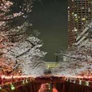 ヒメ日記 2026/04/01 00:31 投稿 忽那 ゆあ テレジア東京