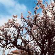 ヒメ日記 2026/02/27 09:17 投稿 白石ほのか ワイフの楽園