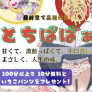 ヒメ日記 2026/04/24 12:31 投稿 きさ 熟女の風俗最終章 宇都宮店