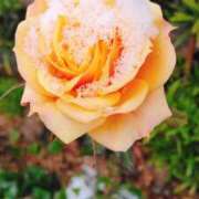 ヒメ日記 2026/02/10 11:45 投稿 工藤じゅり20代 The Best＆More～最高のものとそれ以上のもの～