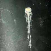 はる 好きなもの♡ 渋谷じゃっくす