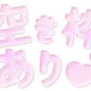 せいな せいな（clubさくら難波店） clubさくら難波店