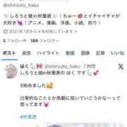 ヒメ日記 2026/02/02 02:27 投稿 はく 秋葉原鑑賞ガール