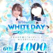 ヒメ日記 2026/03/14 12:57 投稿 はく 秋葉原鑑賞ガール