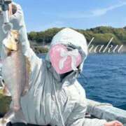 ヒメ日記 2026/04/18 22:34 投稿 はく 秋葉原鑑賞ガール