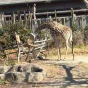 ヒメ日記 2026/02/22 16:03 投稿 りさ 俺のヤバい妻。(谷九)