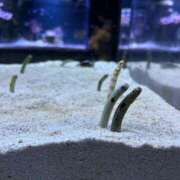 ヒメ日記 2026/03/01 18:02 投稿 りさ 俺のヤバい妻。(谷九)