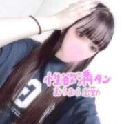 ね　ね 🎀そばにいたい🎀 アイドルソープ　萌えっ娘学園