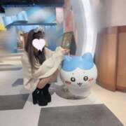 ヒメ日記 2025/12/23 11:08 投稿 恋白みさ ウルトラロイヤル