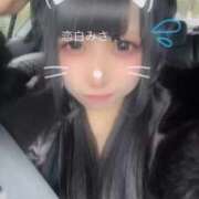 ヒメ日記 2025/12/31 23:08 投稿 恋白みさ ウルトラロイヤル