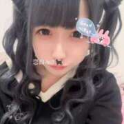 恋白みさ 出勤したよ➰💓 ウルトラロイヤル